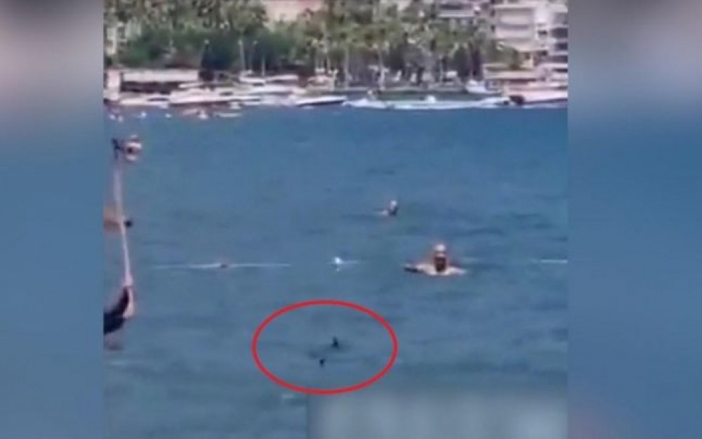 Panică pe o plajă din Turcia. Oamenii au confundat un ţipar cu un rechin şi l-au gonit cu un mop